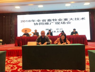 資丘飛雞技術推廣模式入選全國畜牧業重大技術協同推廣計劃試點